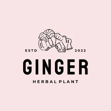 Ginger root logo. Herbal spice logo design vector Illustration Illustrazione stock