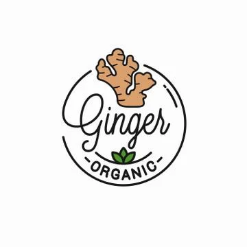 Ginger root logo. Round linear of ginger Stock Illustration