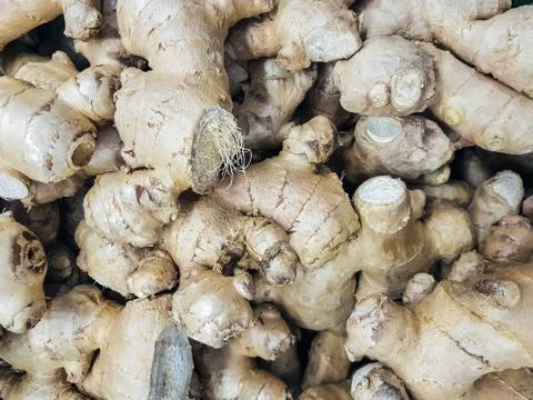 Ginger root in the market Stock Photos