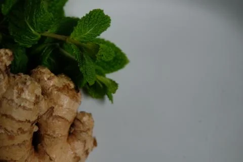 Ginger root with mint leaves. Stock Photos