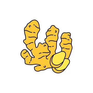 Ginger root olor line icon. Essential oils fruit seeds. Stock Illustration