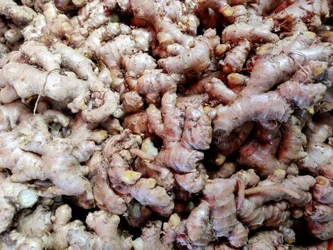 Ginger root or ginger, is widely used as a spice and a folk medicine. It is a Stock Photos