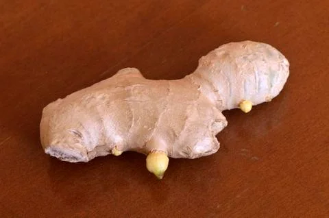 The ginger root Foto stock