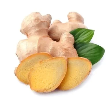 Ginger root . Stock Photos