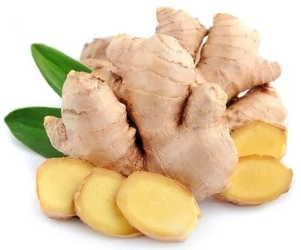 Ginger root Stock Photos