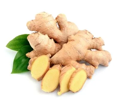 Ginger root . Stock Photos