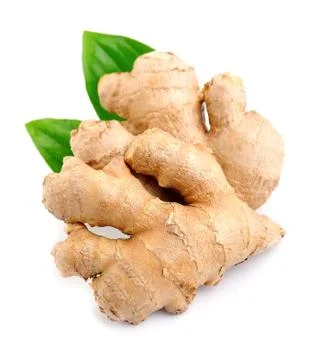 Ginger root . Stock Photos
