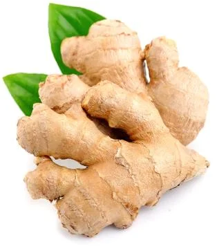 Ginger root . Stock Photos