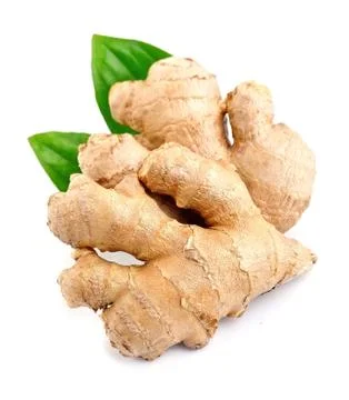 Ginger root . Stock Photos