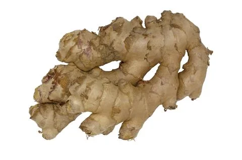 Ginger root Stock Photos