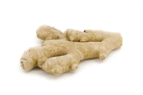 Ginger root presented on white studio backdrop. Stock Photos