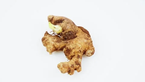 Ginger Root Rotating on White Background Isolated Stock Footage 325348849
