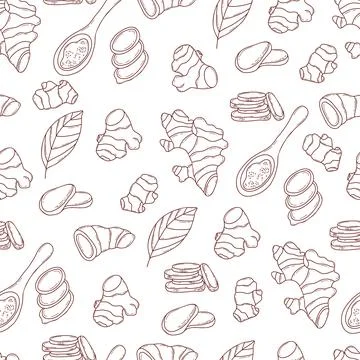 Ginger Root Seamless Pattern. Line Art Botanical Rhizome, Leaf Plant, Slice.. 库存插图