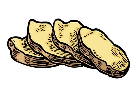 Ginger root slice. Vintage retro vector engraving Stock Illustration