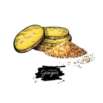 Ginger root sliced pieces with powder heap. Vector hand drawn il Stock Illustration