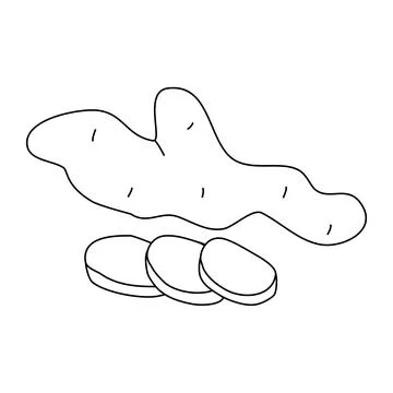 Ginger root with slices, doodle style flat vector outline for coloring book Иллюстрация