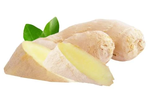 Ginger root with slices isolated on white Stock Photos