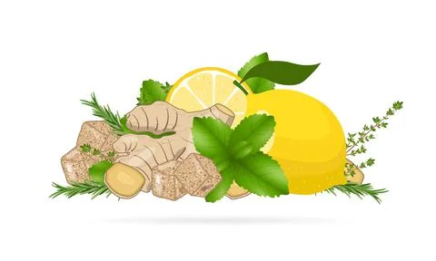 Ginger root slices, lemon, mint leaves, thyme and cane sugar. Vector illustra Ilustración de archivo