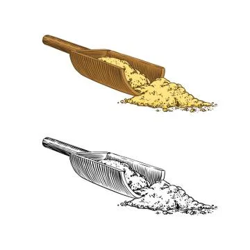 Ginger root spice, Chopped rhizome, Fresh plant ingredient. Vector Engraved hand Stock Illustration