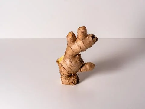 Ginger root, stands on a white background with a delicate shadow Stock Photos