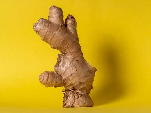 Ginger root, stands on a yellow background with a delicate shadow Stock Photos