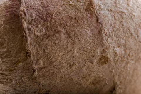 Ginger Root Texture Background close-up Stock Photos