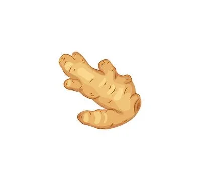 Ginger root on a white background. Food vector icon in a cartoon style. Hea.. Stock Illustration