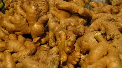 Ginger Roots in Basket Stock Photos