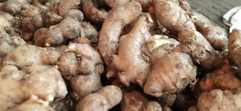 Ginger roots Stock Footage 291960238