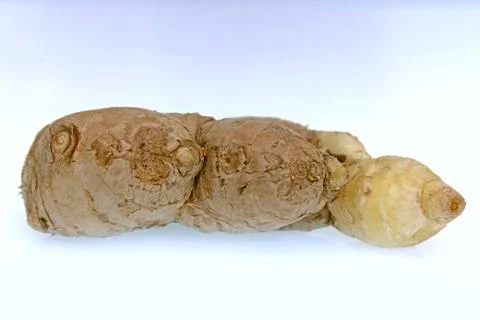 Ginger roots germinating, close-up Stock Photos