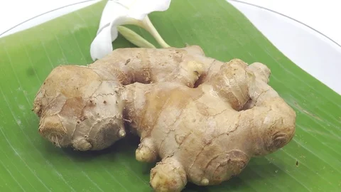 Ginger rotating on white background Stock Footage 124901435