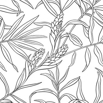 Ginger seamless pattern Stock Illustration