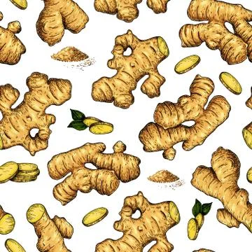 Ginger seamless vector hand drawn pattern. Root and cuted pieces. Stock Illustration