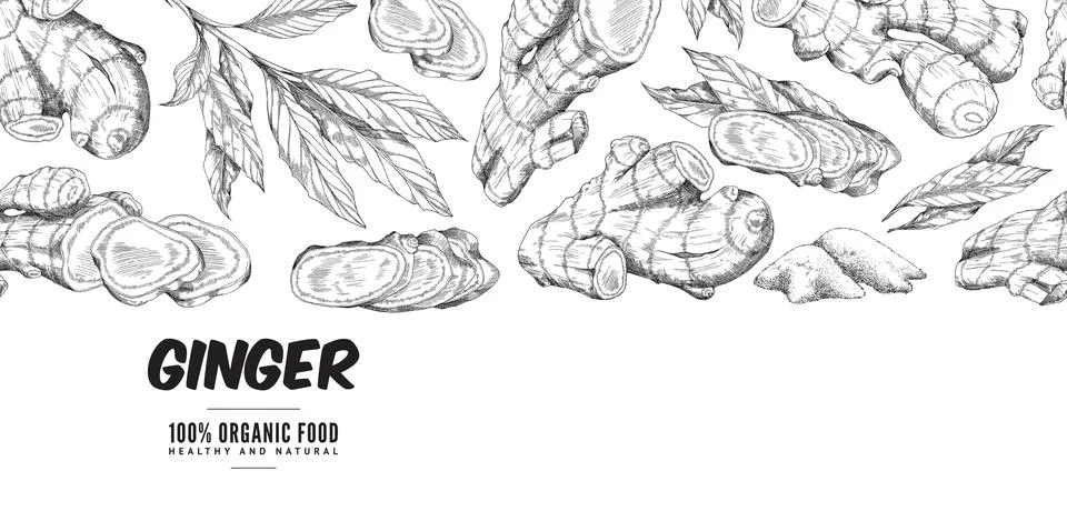 Ginger set with root, slice pieces, powder and leaves in sketch horizontal Stock Illustration