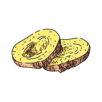 Ginger slice raw sketch hand drawn vector Stock Illustration