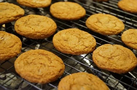Ginger Snap Cookies Stock Photos