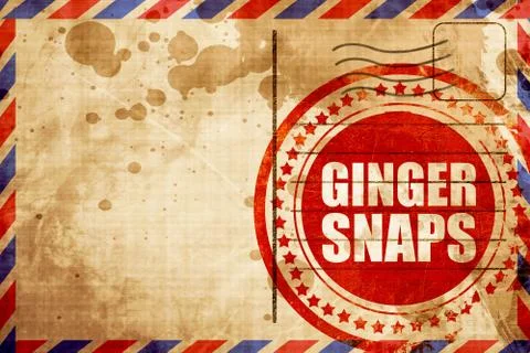 Ginger snaps Stock Illustration