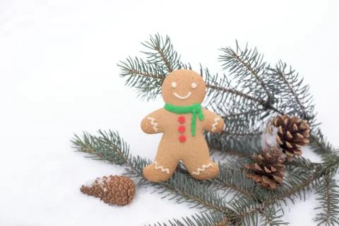 Ginger in the snow Stock Photos