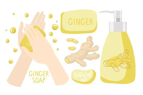 Ginger soap. Two human hands used soap, bar of soap, bottle with liquid soap Illustrazione stock