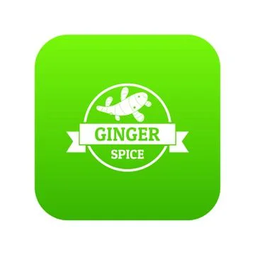 Ginger spice icon green vector Stock Illustration