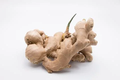 Ginger with Sprouts on White Background Stock Photos