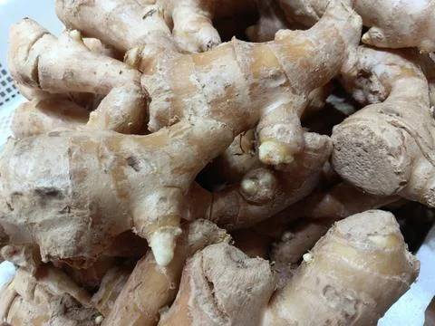 Ginger stem as spicy ingredient. Foto stock
