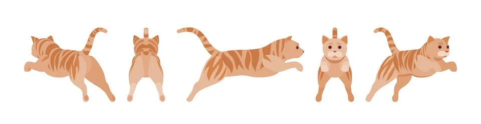 Ginger Tabby Cat jumping Stock Illustration