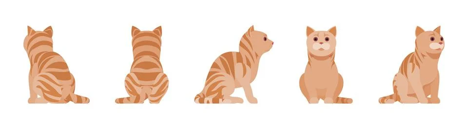 Ginger Tabby Cat sitting Stock Illustration