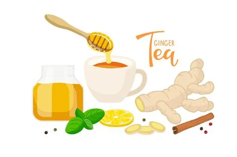 Ginger Tea. Cup of tea. Ingredients for tasty and healthy hot drink. Ginger root Stock Illustration