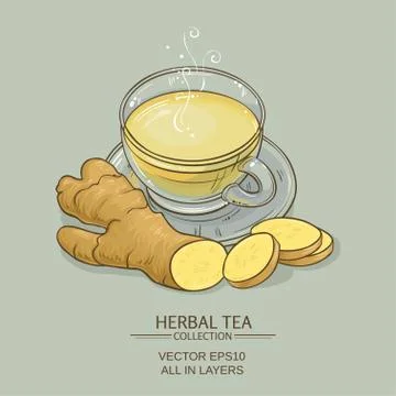 Ginger tea illustration Stock-Illustration