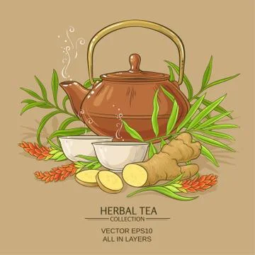 Ginger tea illustration Stock Illustration