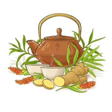 Ginger tea illustration Stock Illustration