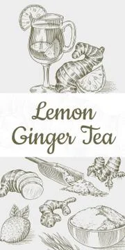 Ginger tea poster. Chopped rhizome or root, Fresh plant, Bag and tea in glass Stock Illustration
