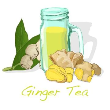 Ginger tea vector illustration Stock Illustration